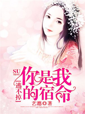 葉心儀喬梁小說(shuō)免費(fèi)最新，一場(chǎng)命運(yùn)的邂逅與糾葛