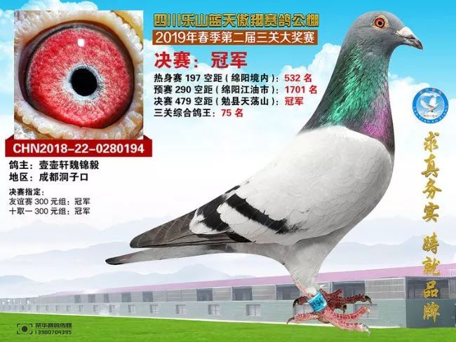 藍(lán)天翔羽公棚最新消息，引領(lǐng)行業(yè)變革，打造卓越服務(wù)標(biāo)桿