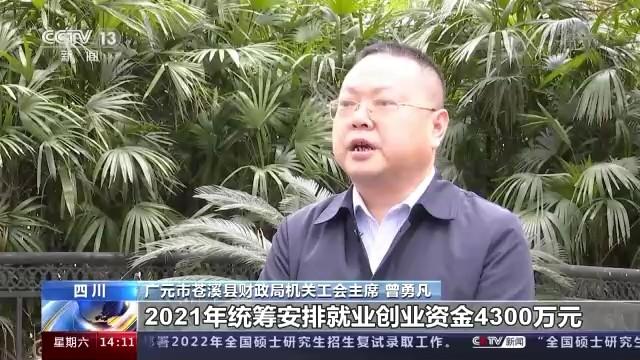 蒼溪在線最新招聘信息概覽
