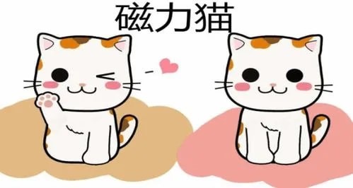 磁力貓最新版地址，探索與體驗(yàn)最新特色功能