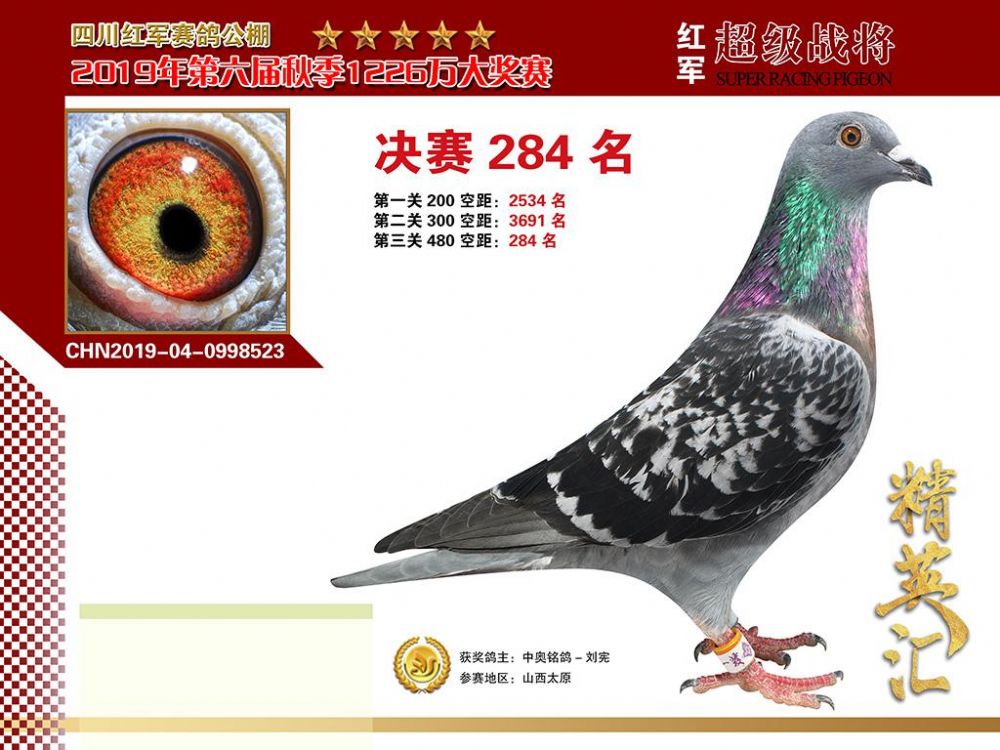 四川紅軍公棚最新公告，歷史傳承與未來展望