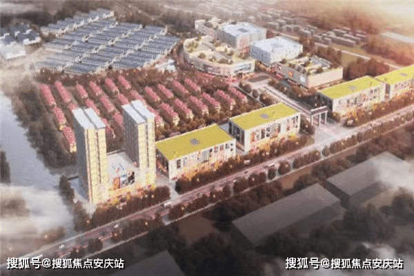 關(guān)于00098 號(hào)的最新消息深度解析