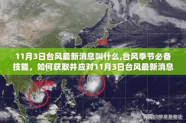 香港天氣臺(tái)風(fēng)最新消息，臺(tái)風(fēng)動(dòng)態(tài)與應(yīng)對(duì)建議