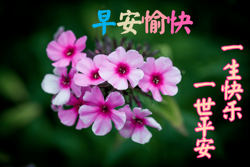 遙控車庫門 第181頁