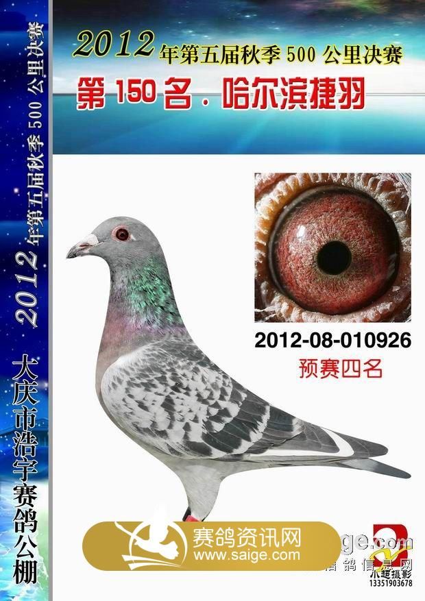 大慶浩宇公棚最新公告，揭示未來(lái)發(fā)展規(guī)劃與重要更新