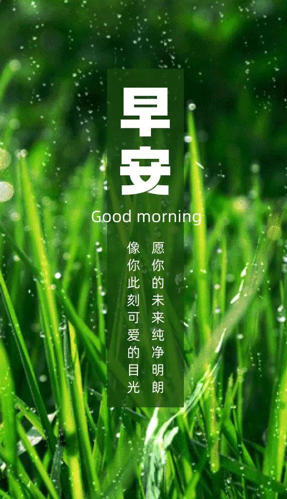 最新的清晨心語，喚醒你的心靈，擁抱美好的一天