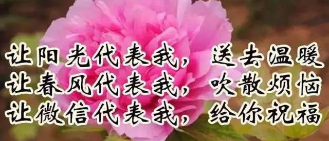 同學(xué)們早上好——最新圖片的魅力與影響