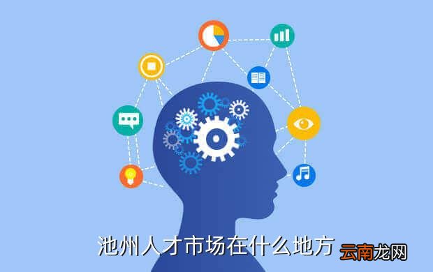 池州人才網(wǎng)最新招聘網(wǎng)——人才的匯聚與機遇的源泉
