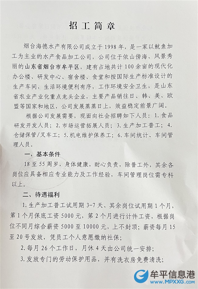 牟平地區(qū)最新招聘信息概覽