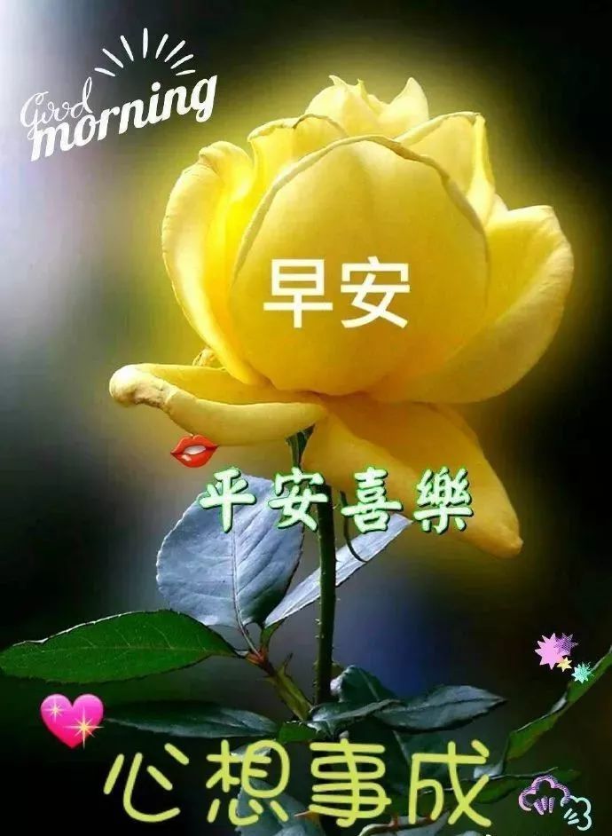 最新早安圖片，喚醒美好一天的溫馨力量