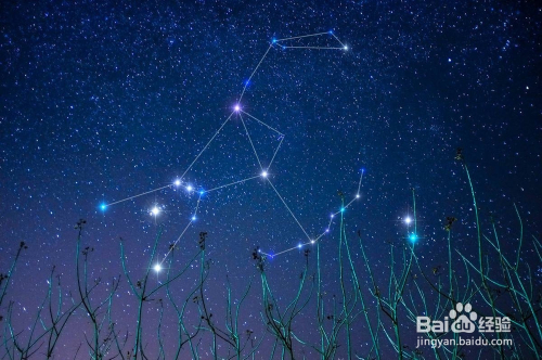 星座運(yùn)勢最新分析，探索星空的秘密，洞悉未來的走向