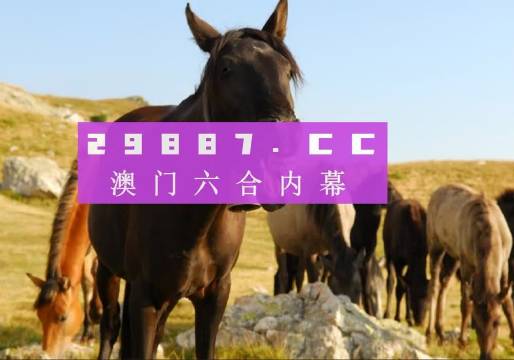 2024年11月18日 第173頁