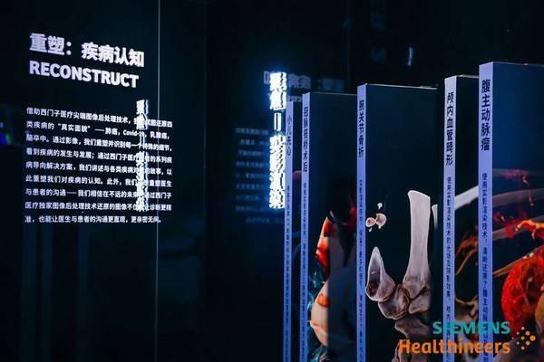 2024澳門資料大全正版資料,經(jīng)典案例解答落實_探險品24.63