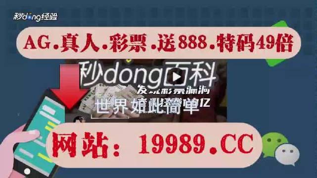 2024年11月19日 第104頁