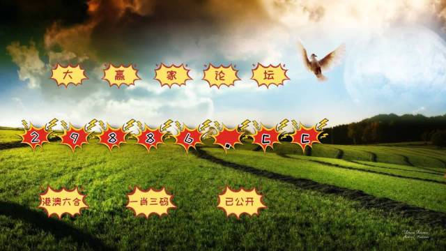 新澳門彩4949開獎記錄,用戶需求解析落實_長期款28.885