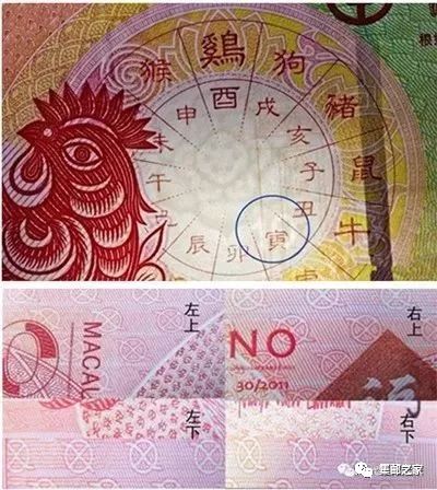 澳門(mén)今晚必開(kāi)一肖，探索生肖彩票的魅力與玄機(jī)