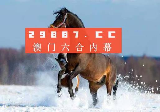 澳門(mén)一肖一碼一必中一肖同舟前進(jìn)的獨(dú)特魅力與奧秘探索