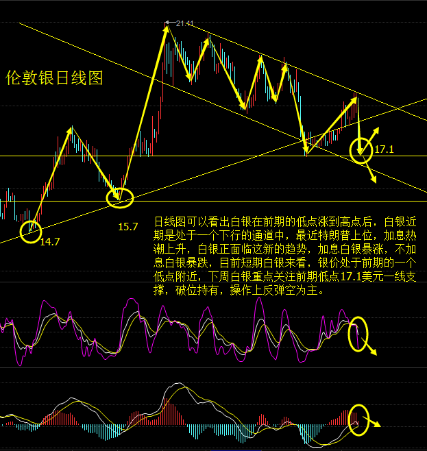 上海白銀最新價格，市場動態(tài)、影響因素及未來展望