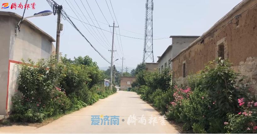 平陰最新的新聞，城市發(fā)展與民生改善并進