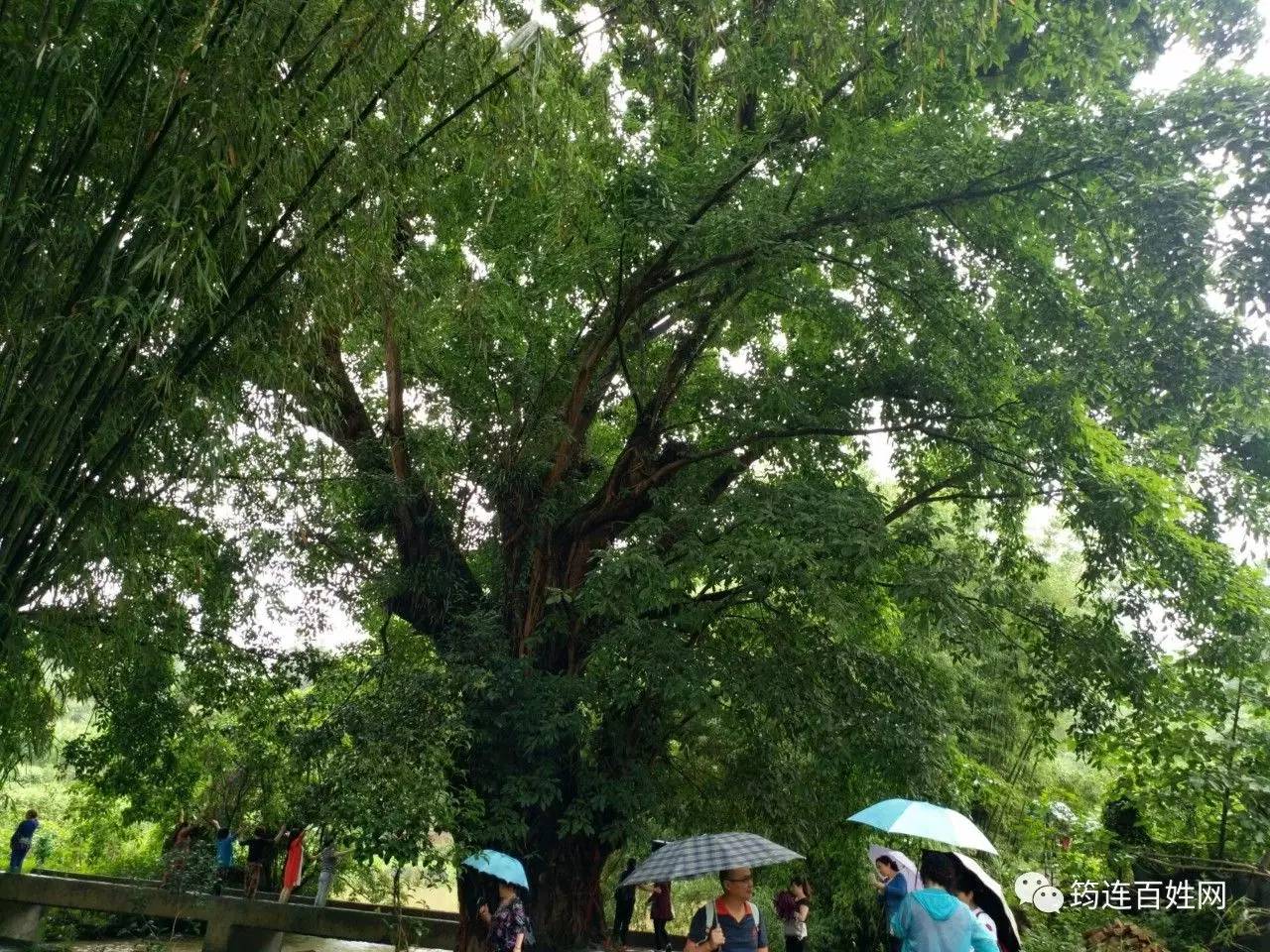 筠連百姓網(wǎng)最新動態(tài)，引領(lǐng)地方發(fā)展的信息橋梁