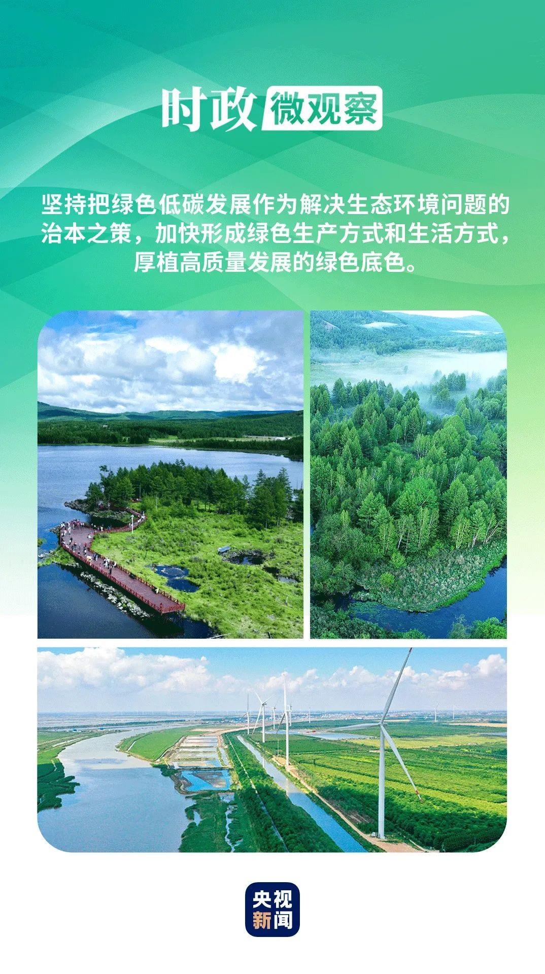 最新苗木求購，探尋綠色發(fā)展的力量源泉