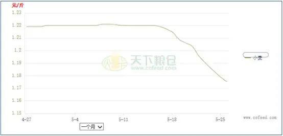 周口小麥價(jià)格最新行情分析