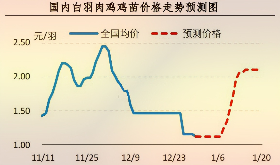 全國雞苗價格最新行情分析