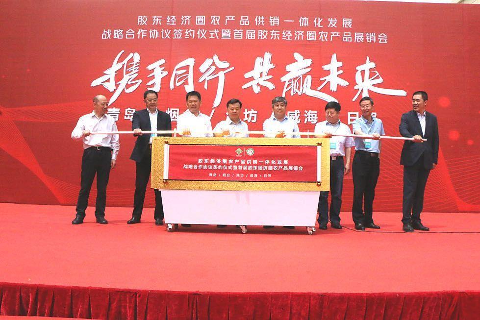 最新中國百強縣，繁榮與發(fā)展的見證