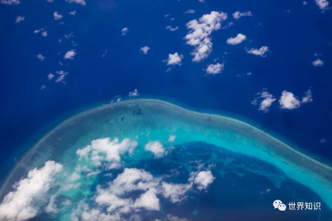 南海最新圖片揭示壯麗景色與豐富生態(tài)