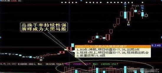 股票最新公告，市場動向與投資者應(yīng)對策略