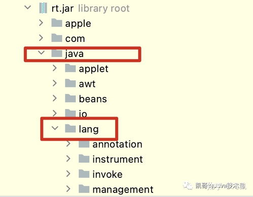 NetKeeper最新版，引領(lǐng)網(wǎng)絡(luò)管理的革新之路