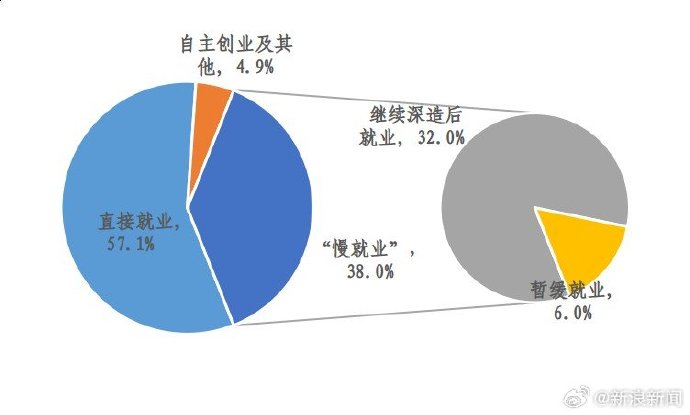 最新自主擇業(yè)漲工資，機(jī)遇與挑戰(zhàn)并存