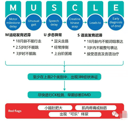 肌營(yíng)養(yǎng)不良最新進(jìn)展，研究、治療與未來(lái)展望