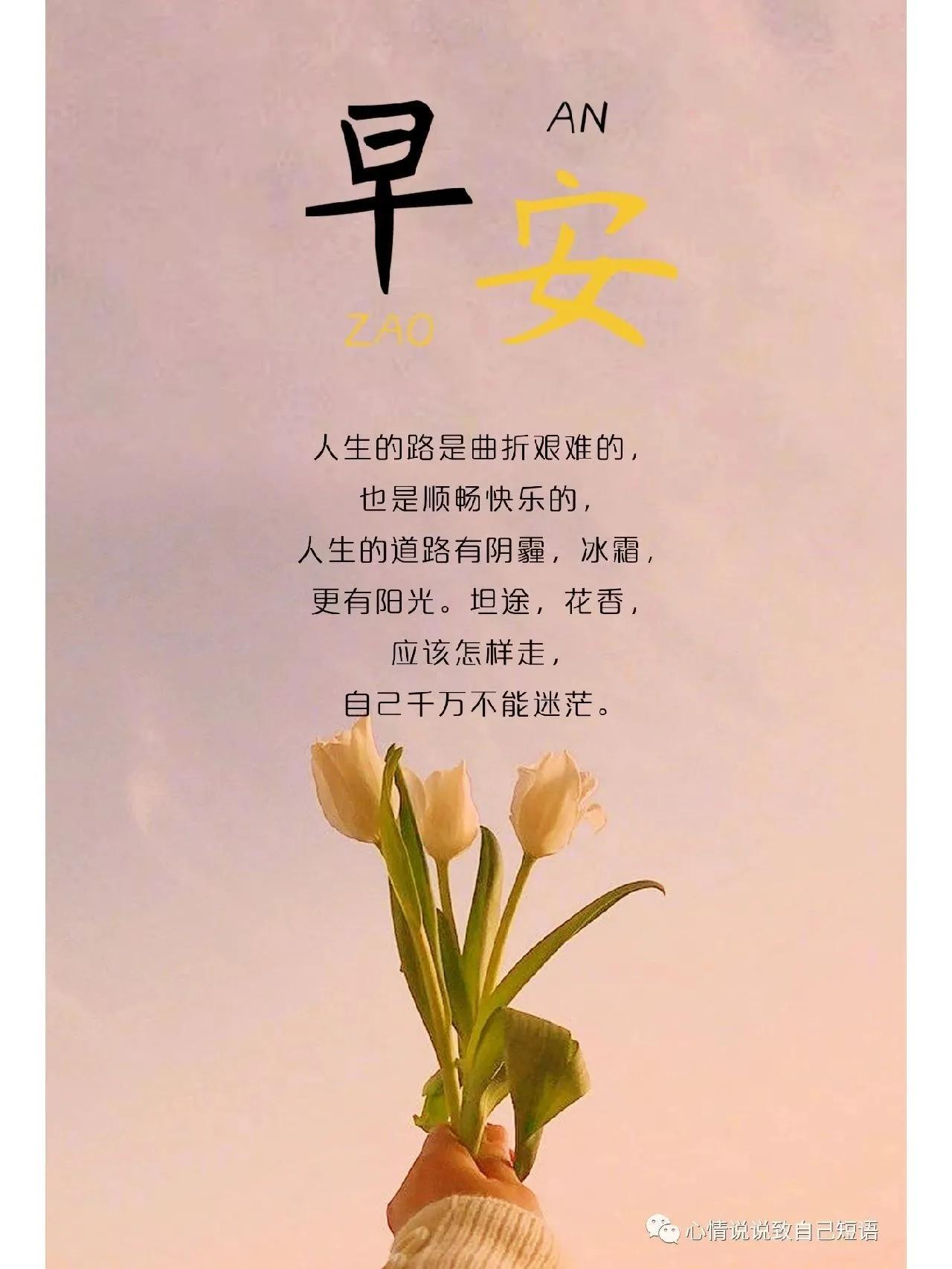 最新一句話早安心語，喚醒你的美好一天