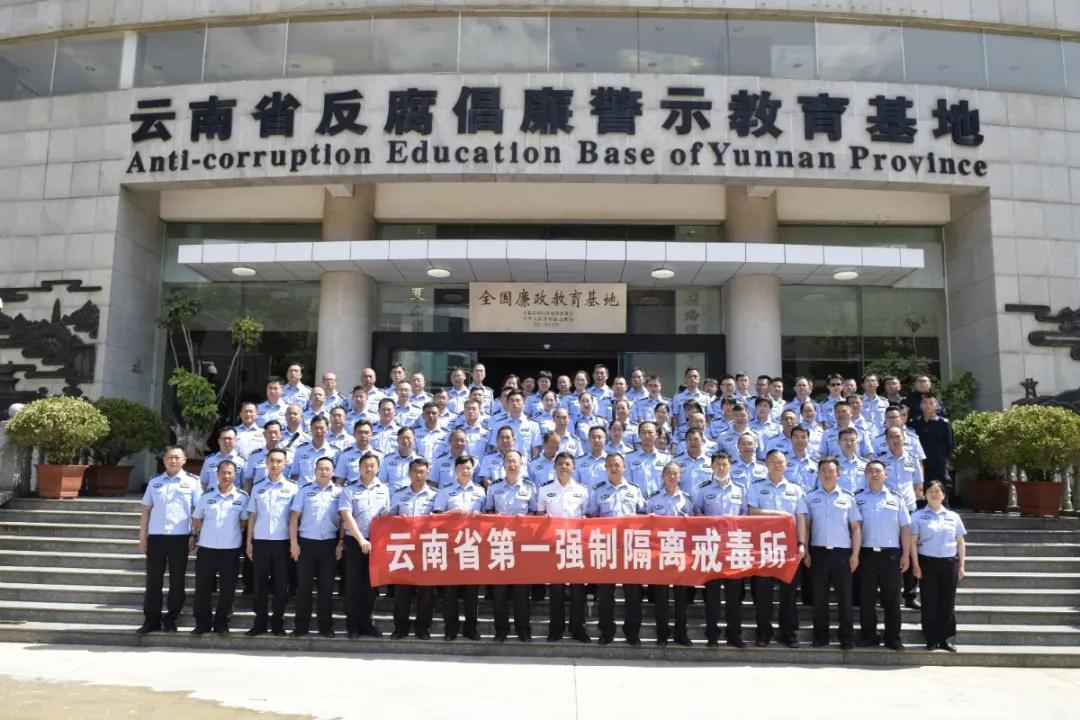 最新素材大全，探索、發(fā)現(xiàn)與創(chuàng)新