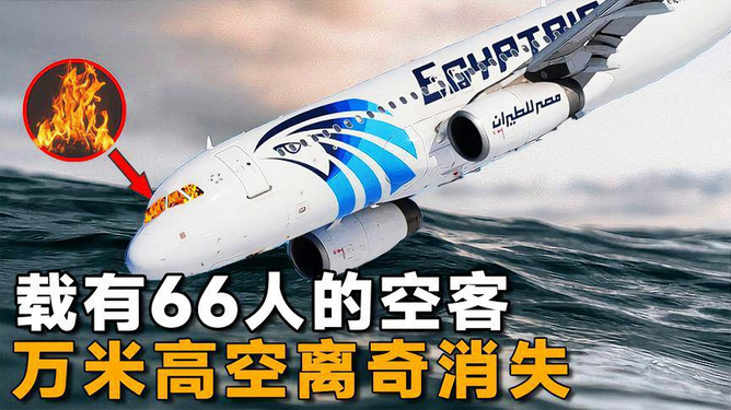 飛機(jī)失蹤最新消息，探尋真相與關(guān)注安全